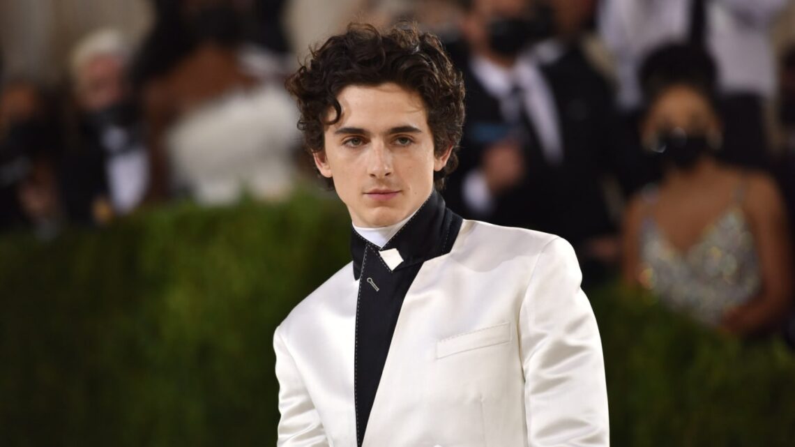 List of awards and nominations received by Timothée Chalamet - Wikipedia