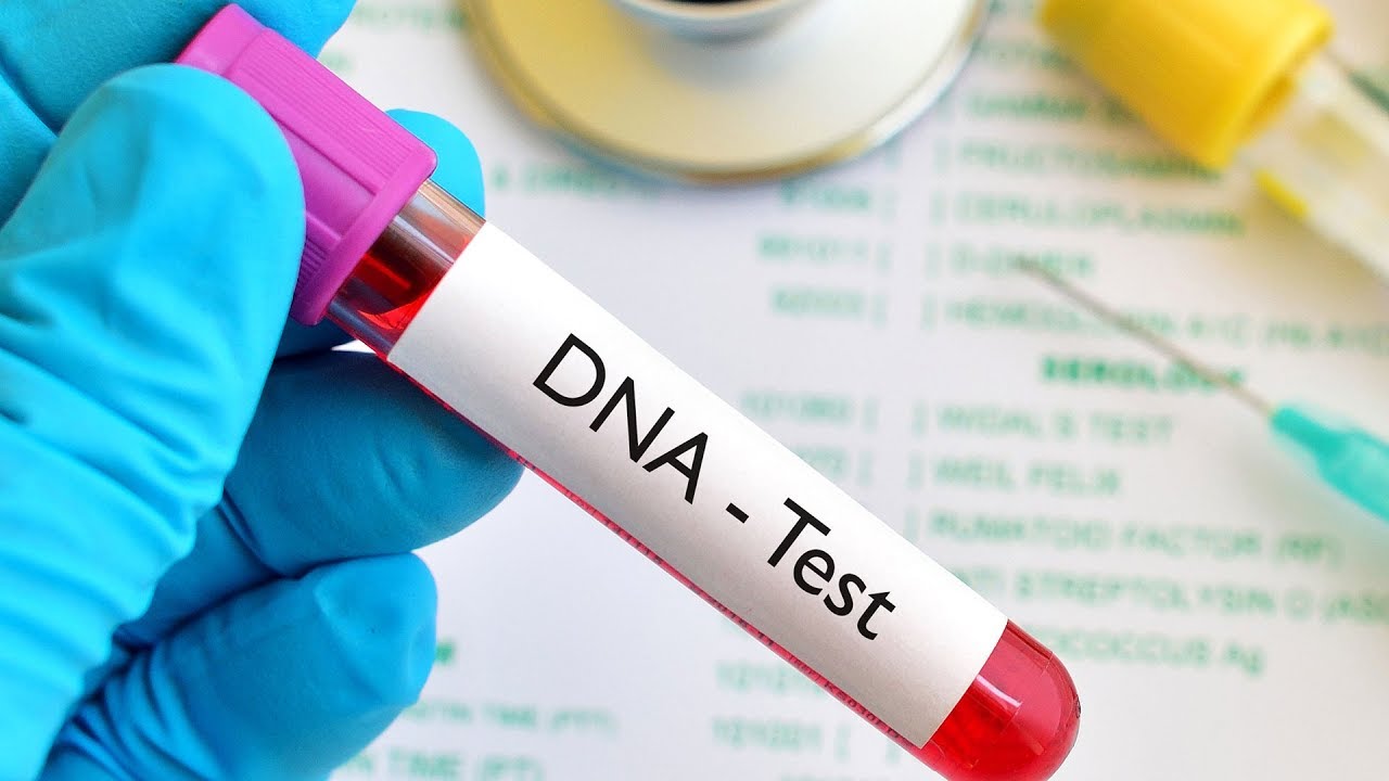 What is a DNA test?  The power and significance of testing
