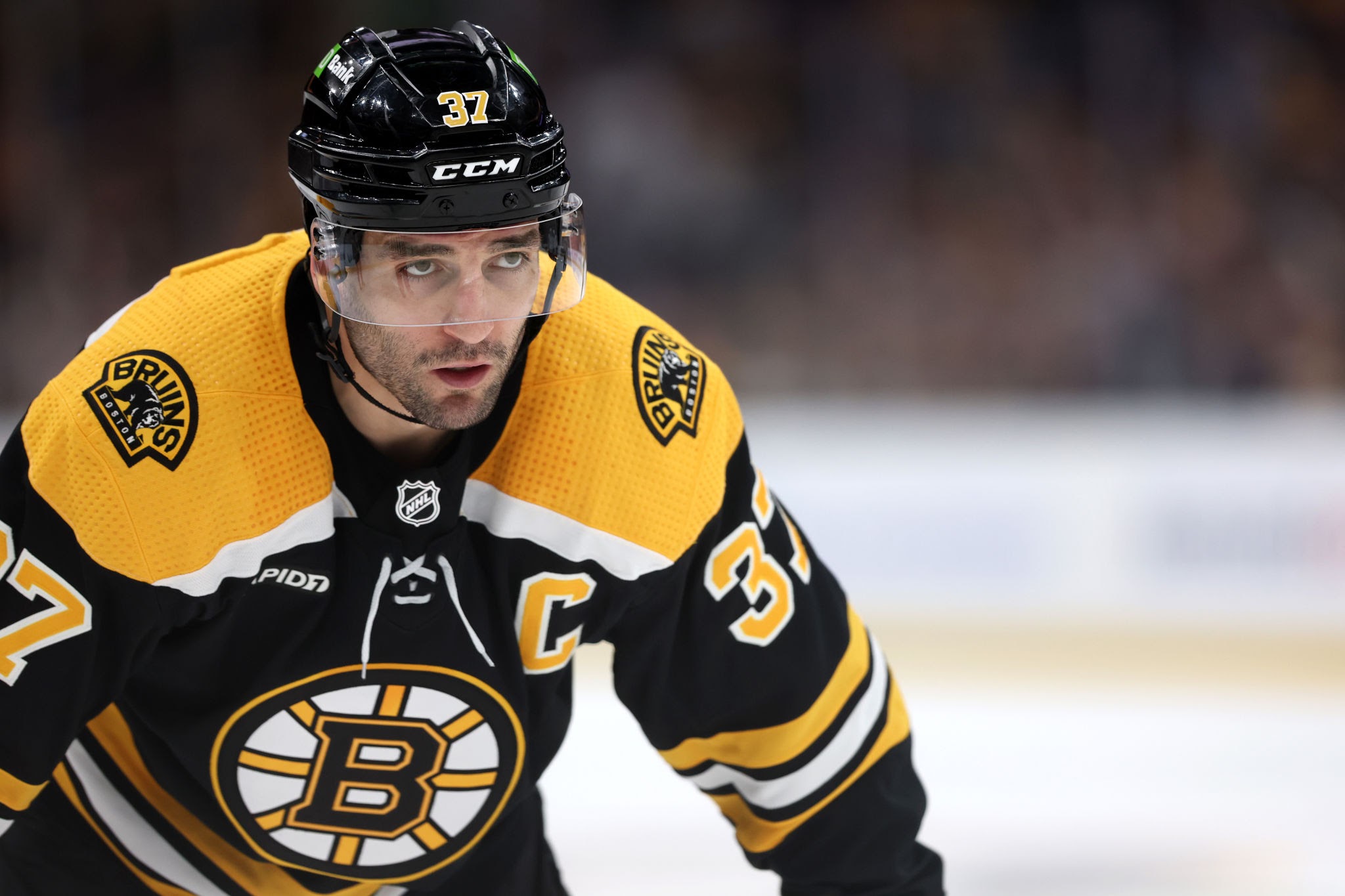 Patrice Bergeron Biography: Age, Net Worth, Instagram, Spouse, Height, Wiki, Parents, Awards