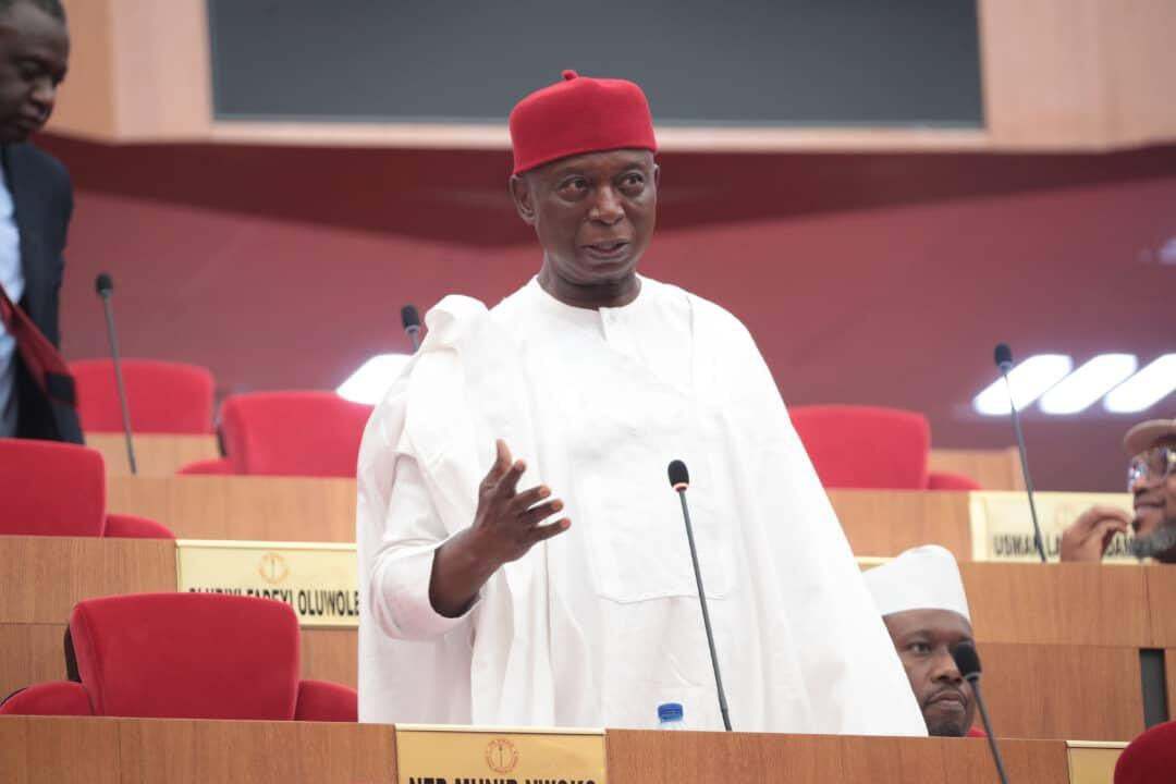 Senator Ned Nwoko proposed Anioma state for balance in the Southeast