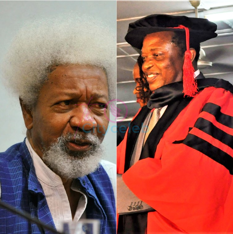 Debate rages over national recognition for Professor Pius N. Okeke vs. Wole Soyinka